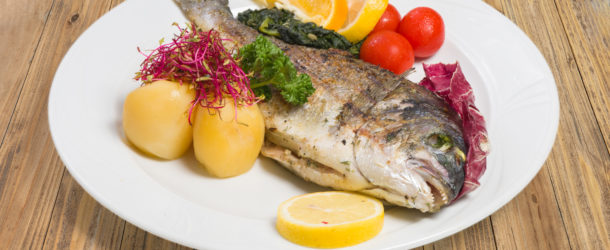 Dorada grillowana