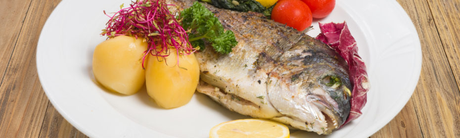 Dorada grillowana