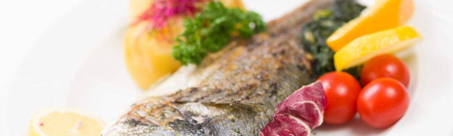 Dorada grillowana