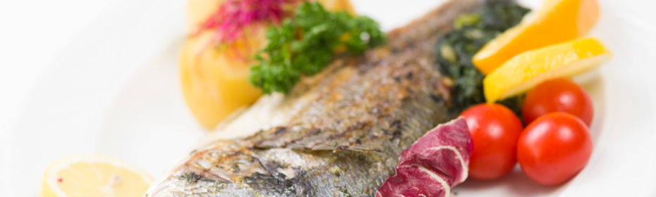 Dorada grillowana